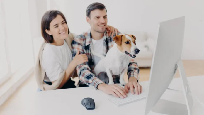 Custodia de los animales en caso de divorcio 1 Es recomendable pactar la custodia de los animales en el convenio regulador del divorcio