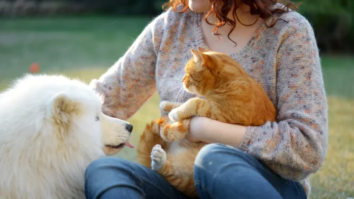Indemnización por impedir ver a una mascota Una jueza ha obligado a un hombre a abonarle a su expareja una indemnización por impedir ver a una mascota que tenían en común