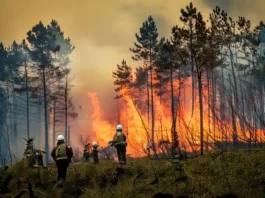 El convenio de bomberos forestales que trabajan en Tragsa aplica la Ley Básica de Bomberos Forestales de 2024