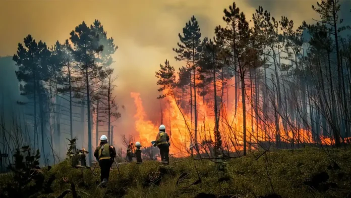 El convenio de bomberos forestales que trabajan en Tragsa aplica la Ley Básica de Bomberos Forestales de 2024