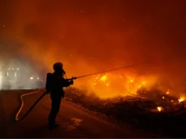 Los derechos laborales de los bomberos forestales deben respetarse