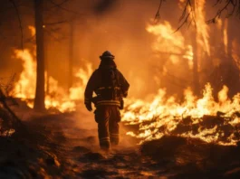 El procedimiento para reclamar daños por incendios en España implica una combinación de vías legales y administrativas
