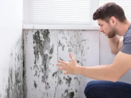 La reparación de urgencia de humedades en una vivienda es exigible a la comunidad si la causa está en un elemento común del edificio