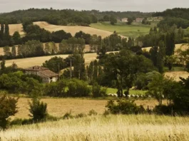 Una finca calificada como urbana en el PGOM puede ser rústica si no se ha urbanizado