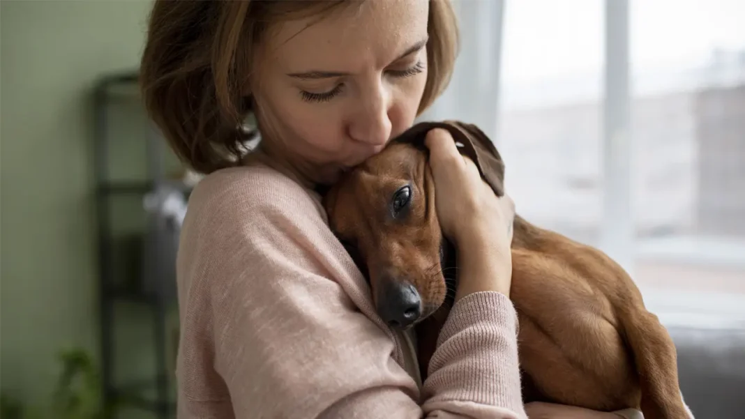 Una ausencia por ir al veterinario no tiene por qué ser sancionable si está justificada