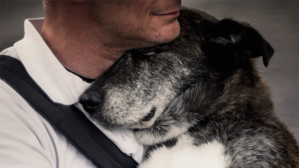 Una ausencia por ir al veterinario no puede ser sancionada por la empresa si se acreditan motivos humanitarios