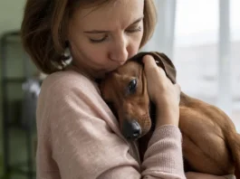 Una ausencia por ir al veterinario no tiene por qué ser sancionable si está justificada
